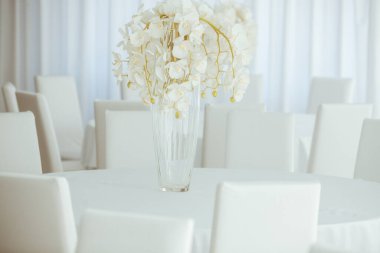 Boş restoranın lüks iç mimarisi. Boş sandalye ve oda içi fotoğraf. Beyaz restoranın içi..