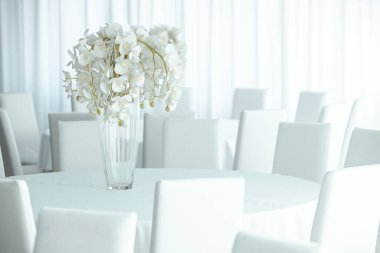 Boş restoranın lüks iç mimarisi. Boş sandalye ve oda içi fotoğraf. Beyaz restoranın içi..