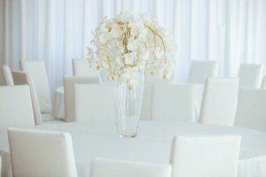 Boş restoranın lüks iç mimarisi. Boş sandalye ve oda içi fotoğraf. Beyaz restoranın içi..