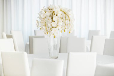 Boş restoranın lüks iç mimarisi. Boş sandalye ve oda içi fotoğraf. Beyaz restoranın içi..