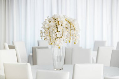 Boş restoranın lüks iç mimarisi. Boş sandalye ve oda içi fotoğraf. Beyaz restoranın içi..