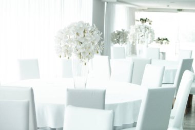 Boş restoranın lüks iç mimarisi. Boş sandalye ve oda içi fotoğraf. Beyaz restoranın içi..