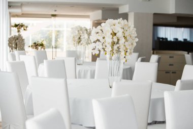 Boş restoranın lüks iç mimarisi. Boş sandalye ve oda içi fotoğraf. Beyaz restoranın içi..