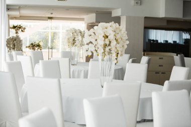 Boş restoranın lüks iç mimarisi. Boş sandalye ve oda içi fotoğraf. Beyaz restoranın içi..