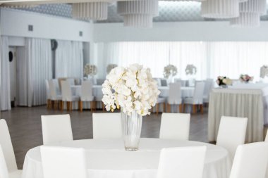 Boş restoranın lüks iç mimarisi. Boş sandalye ve oda içi fotoğraf. Beyaz restoranın içi..