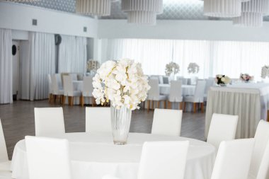 Boş restoranın lüks iç mimarisi. Boş sandalye ve oda içi fotoğraf. Beyaz restoranın içi..