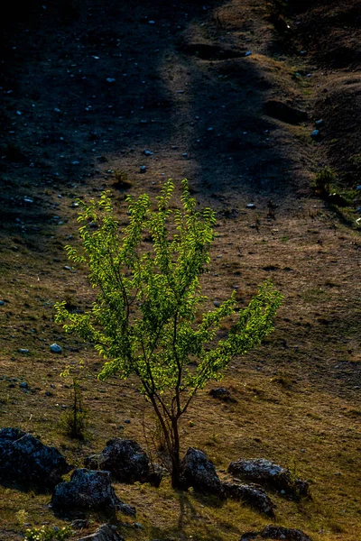 Vackert Landskap Byn Rogojeni Moldavien Europa Höstens Natur Det Naturliga — Stockfoto
