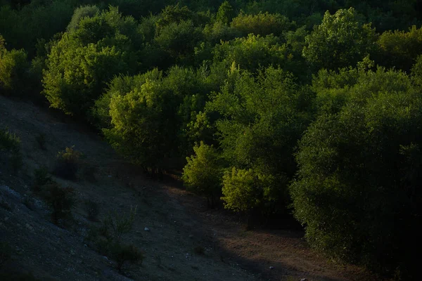 Чудовий Краєвид Села Рогоєні Молдові Європа Осінній Характер Природний Ландшафт — стокове фото