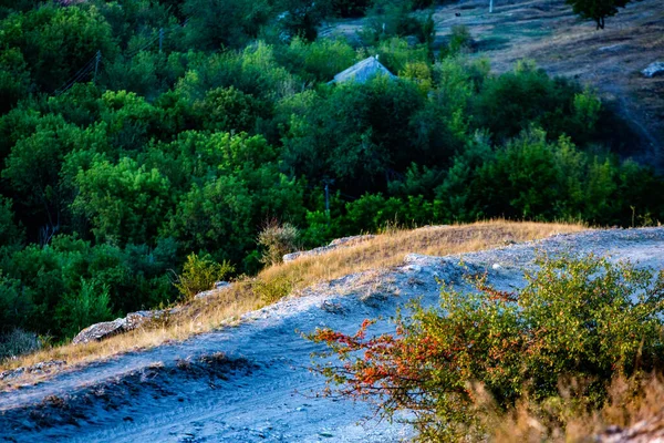 Vackert Landskap Byn Rogojeni Moldavien Europa Höstens Natur Det Naturliga — Stockfoto