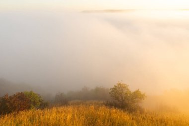 Moldova Cumhuriyeti 'nin Manzarası Sabah Sisi, Puslu Kırsal Görüş