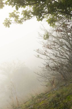 Moldova Cumhuriyeti 'nin Manzarası Sabah Sisi, Puslu Kırsal Görüş