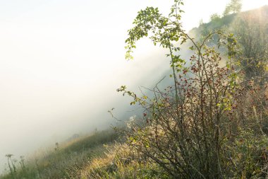 Moldova Cumhuriyeti 'nin Manzarası Sabah Sisi, Puslu Kırsal Görüş