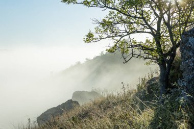 Moldova Cumhuriyeti 'nin Manzarası Sabah Sisi, Puslu Kırsal Görüş