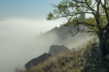 Moldova Cumhuriyeti 'nin Manzarası Sabah Sisi, Puslu Kırsal Görüş