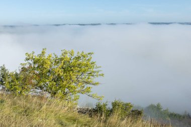 Moldova Cumhuriyeti 'nin Manzarası Sabah Sisi, Puslu Kırsal Görüş