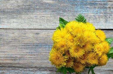 Eski bir ahşap zemin üzerine karahindiba buket