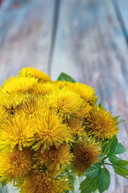 dandelions eski bir ahşap zemin üzerine cam vazoda buket