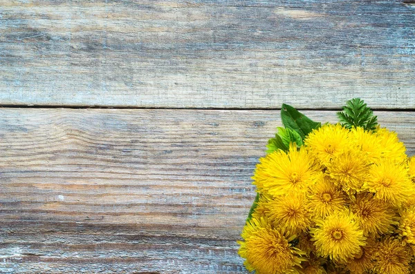 Ramo de diente de león sobre un fondo de madera viejo —  Fotos de Stock