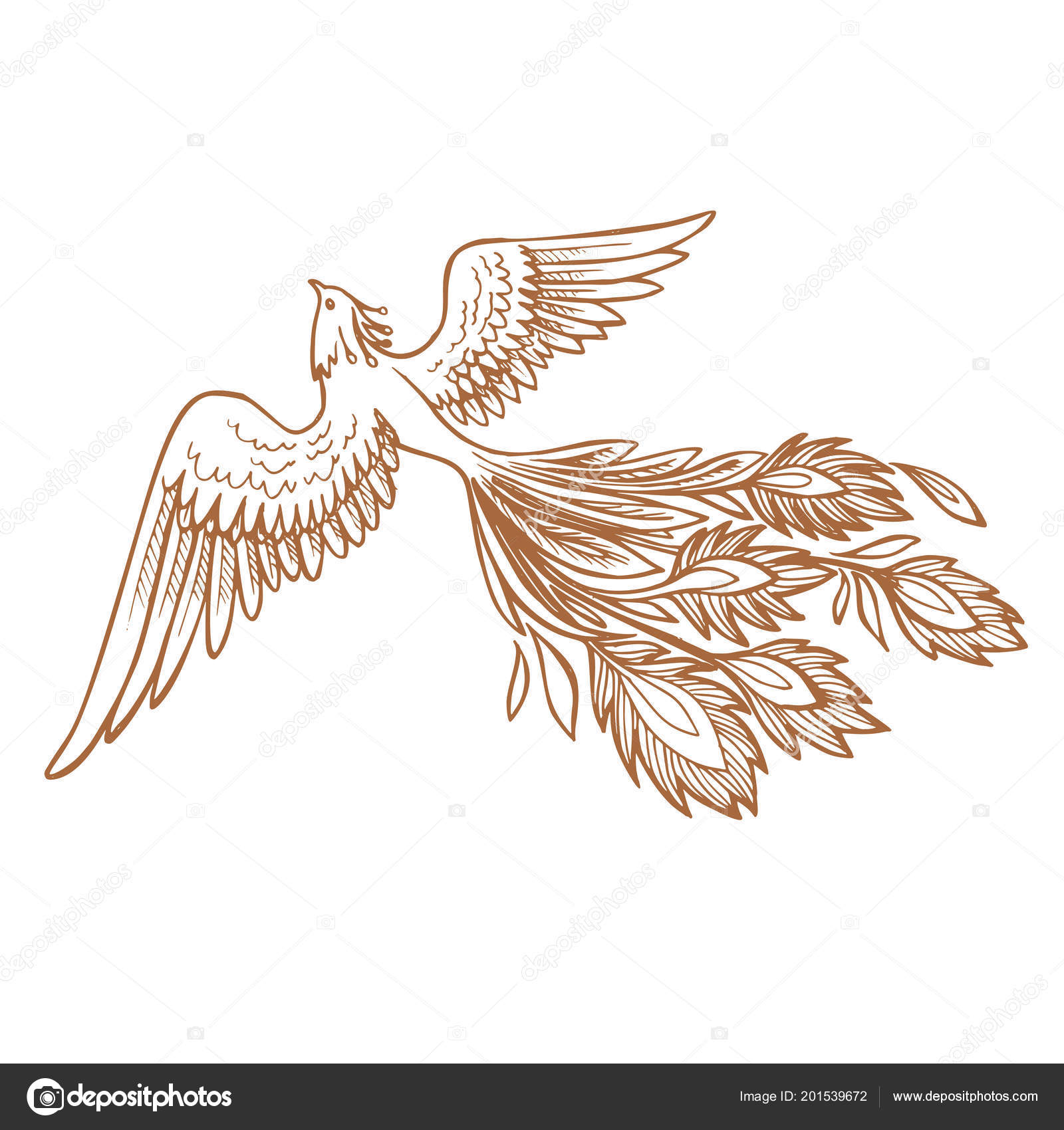 Phoenix Fire bird illustration and character  drawn Phoenix  tattoo Japanese and Chinese style,Legend of the Firebird is Russian fairy  tales and it is creature from Slavic folklore Stock Vector Image by ©