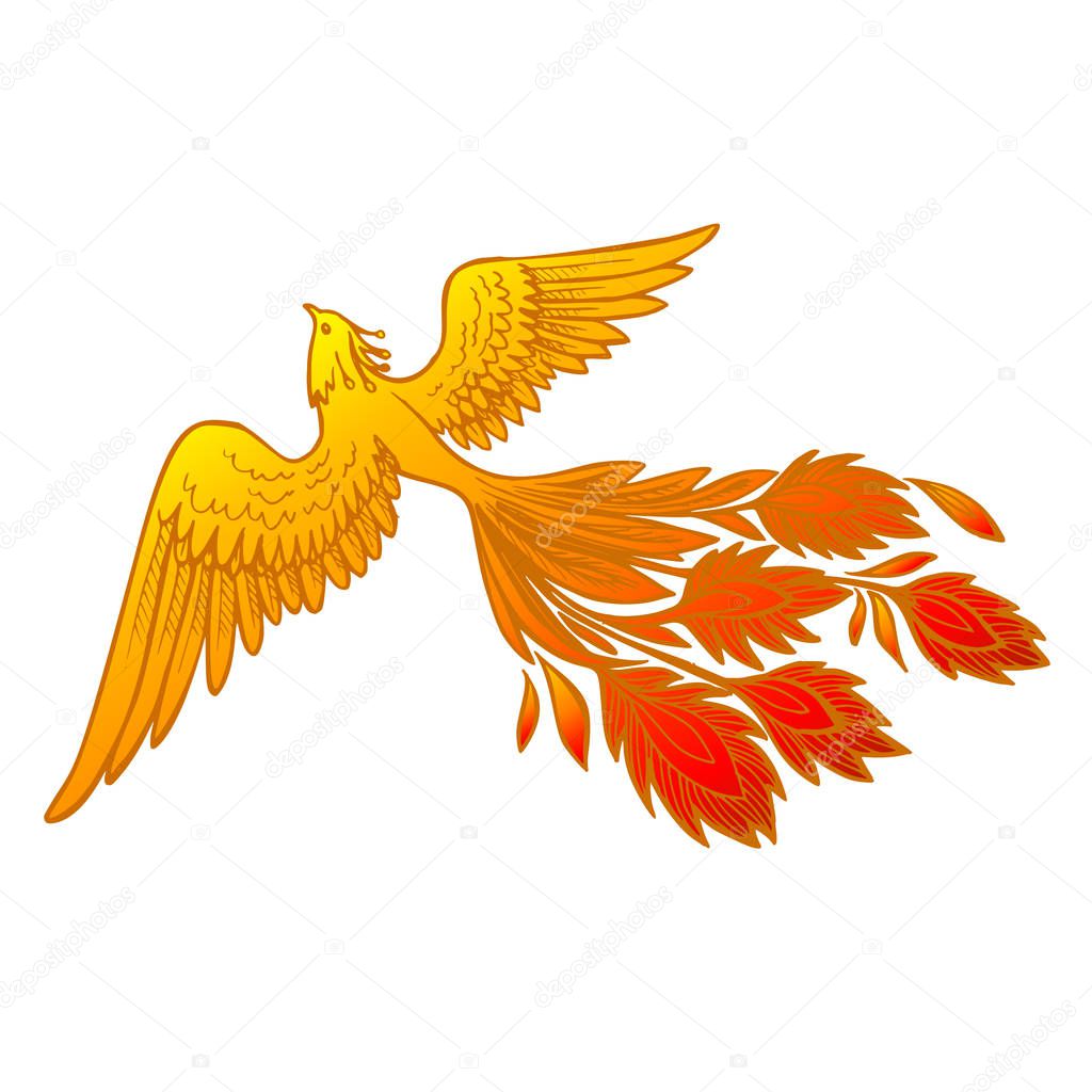 Phoenix Fire bird illustration and character design.Hand drawn Phoenix tattoo Japanese and Chinese style,Legend of the Firebird is Russian fairy tales and it is creature from Slavic folklore