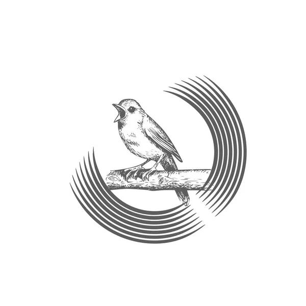 Singt und zwitschert Vogel, sitzt auf rundem und rundem Ast, Logoschablone. Tiere und Wildtiere, Vektor-Design. Illustration zur Natur — Stockvektor