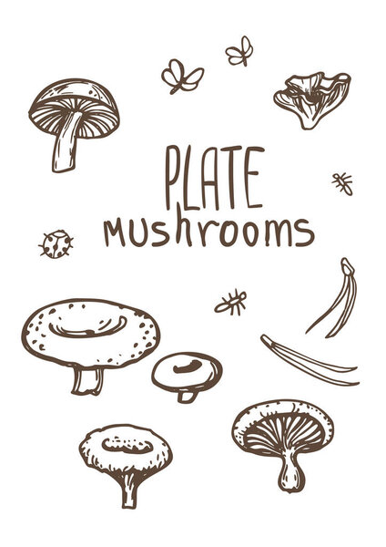 Mushrooms. Organic vegetarian product