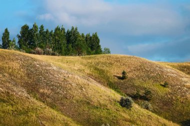 Büyük buğday alanıyla manzara.