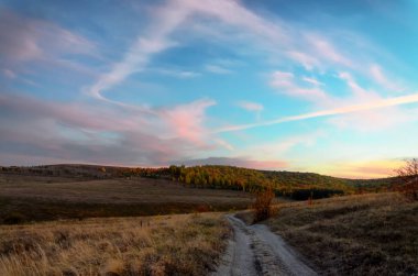 Büyük buğday alanıyla manzara.