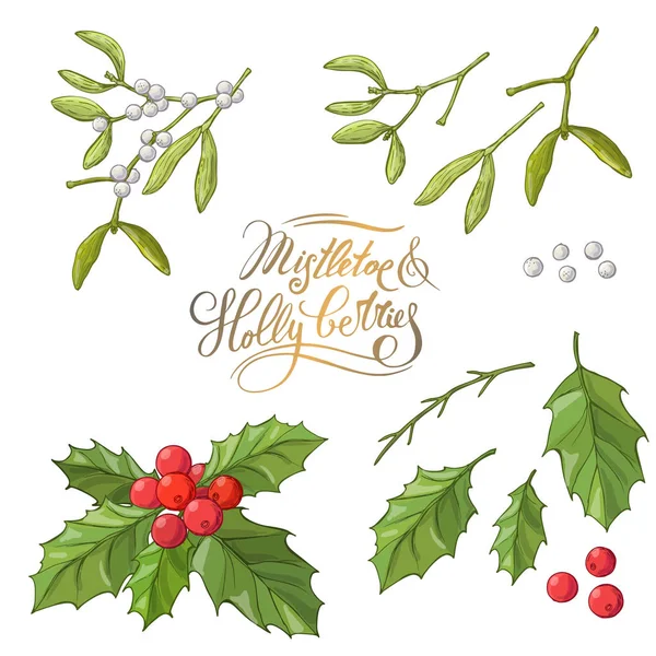 被隔离的米斯特莱托传统的圣诞树。假日红色冬青浆果与绿叶。装饰为全国节日在白色背景。圣诞节设计模板 — 图库矢量图片