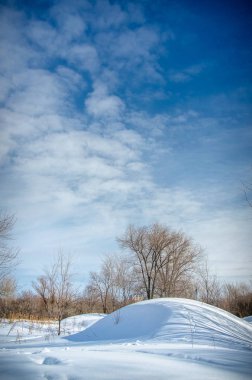 Kış manzarası ile hill ve cirrus bulutlar güneşli bir ağaçta. Dikey Çerçeve
