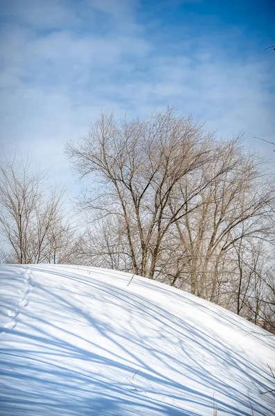 Kış manzara ağaçlar tepe üzerinde ve güneşli bir günde kar üzerinde parlak gölgeler. Dikey Çerçeve