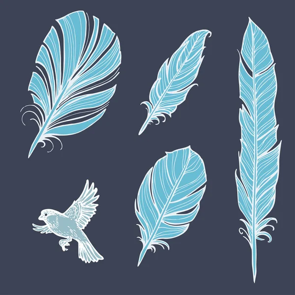 Set of vector blue feathers on a dark background — Stock Vector