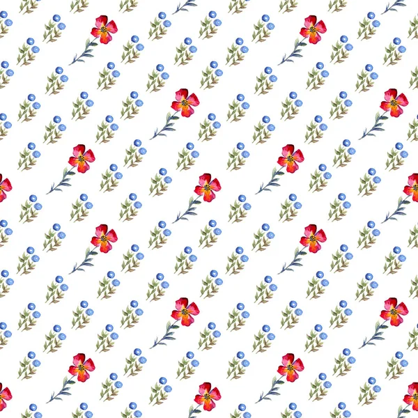 Beyaz arka plan üzerinde otlar ve mavi çilek fnd kırmızı çiçekler ile Dikişsiz suluboya arka plan — Stok fotoğraf
