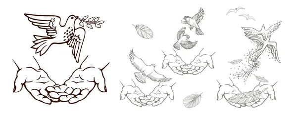 Conjunto de dibujos dibujados a mano con manos y pájaros. Ilustración vectorial en blanco y negro . — Vector de stock