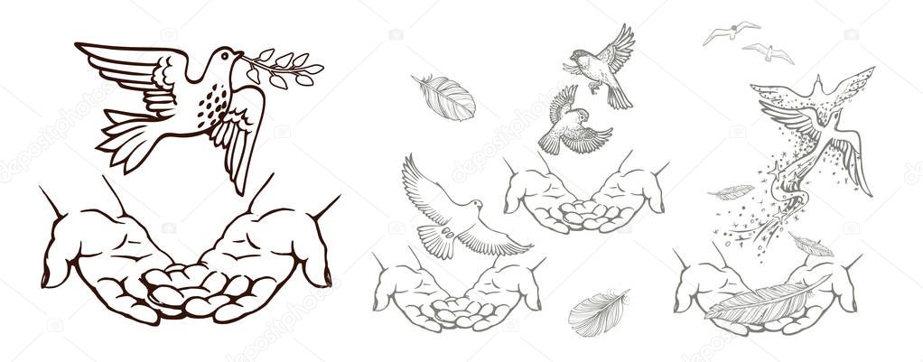Set of hand-drawn drawings with hands and birds. Black and white vector illustration.