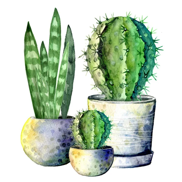 La composición de los tres cactus en macetas. Aislar sobre fondo blanco. Acuarela ilustración dibujada a mano — Foto de Stock