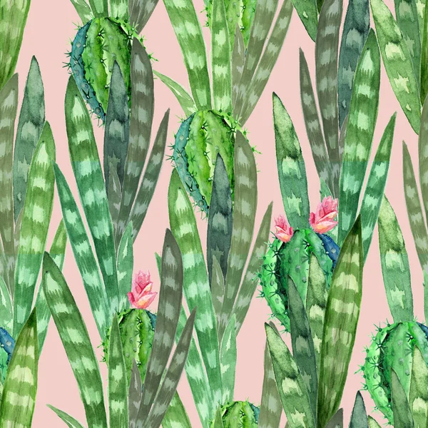 Akvarell sömlös textur med blommande kaktusar på dammig rosa bakgrund. Akvarell tryck och omslagspapper — Stockfoto