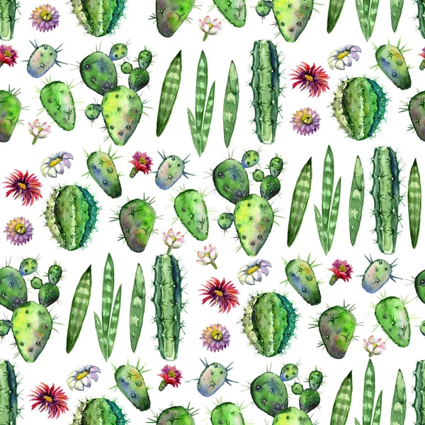 Πολύχρωμο μοτίβο χωρίς ραφές με ζουμερά φυτά, κλαδιά και λουλούδια. Ιδανικό για το έργο σας, ευχετήρια κάρτα, συσκευασία, ταπετσαρία, μοτίβο, υφή, κάλυμμα — Φωτογραφία Αρχείου