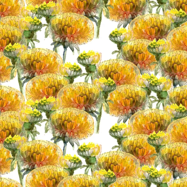 Бесшовный рисунок акварельных желтых одуванчиков — стоковое фото