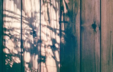 Ahşap tahtalar üzerinde yapraklarından gölge ile soyut arka plan