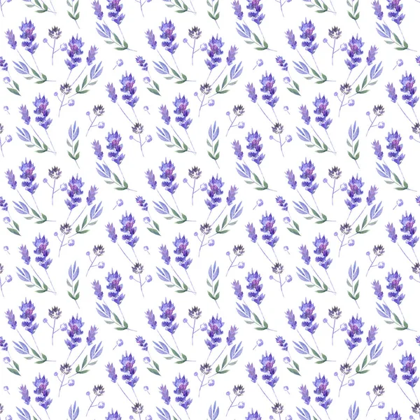 Fundo floral sem costura aquarela com flores de lavanda e folhas de plantas de campo . — Fotografia de Stock