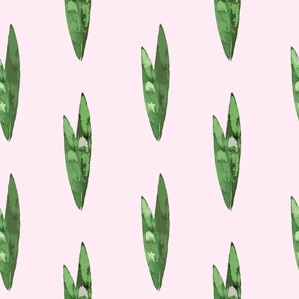 Motif floral sans couture sur fond rose.Cactus avec un contour vert. Feuilles de Sansevieria — Image vectorielle