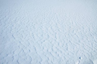Beyaz kış taze kar arka planı