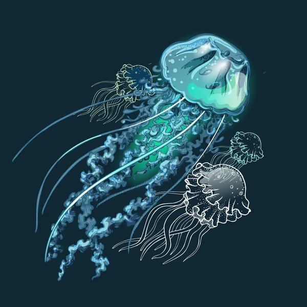 Vector image of jellyfish on a dark background. — Stock Vector
