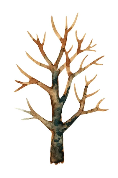 Illustrazione ad acquerello di un albero scuro senza foglie. Isolato su sfondo bianco . — Foto Stock