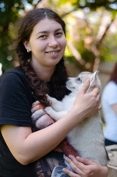 一个女孩和一只哈士奇小狗抱在怀里的照片 — 图库照片