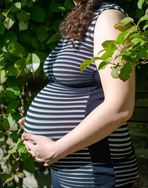 Photo of a pregnant woman in a striped dress. Side view of the abdomen. In profile. Hands on the stomach. Against the background of greenery — Stock Photo, Image