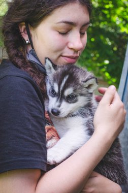Siyah beyaz köpek yavrusu bir kızın kollarında.