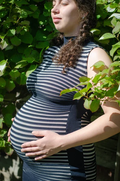 照片上的孕妇穿着条纹连衣裙，头戴辫子。腹部侧视图。在个人资料。在绿化的背景下 — 图库照片