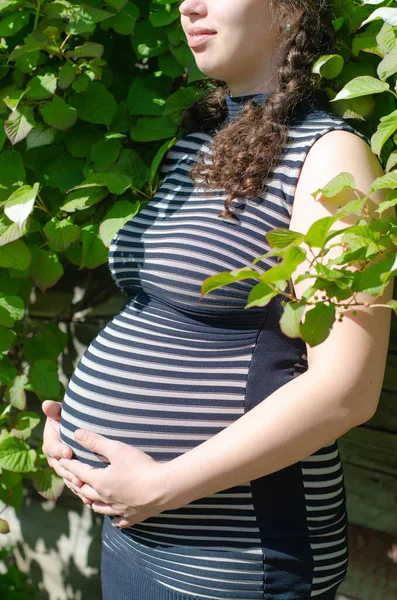 Photo of a pregnant woman in a striped dress, with pigtails. Side view of the abdomen. In profile. Hands on the stomach. Against the background of greenery — Stock Photo, Image